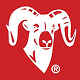 ram_mount_icon2